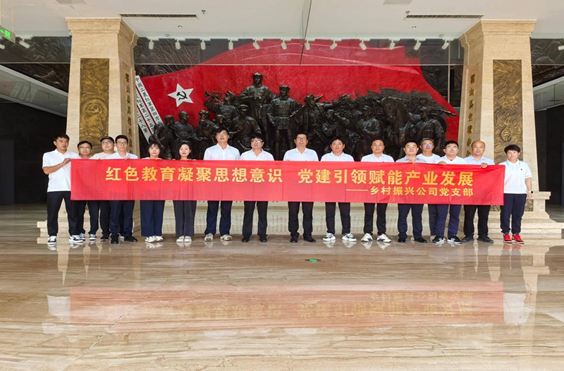 鄉(xiāng)村振興公司黨支部開展主題黨建活動